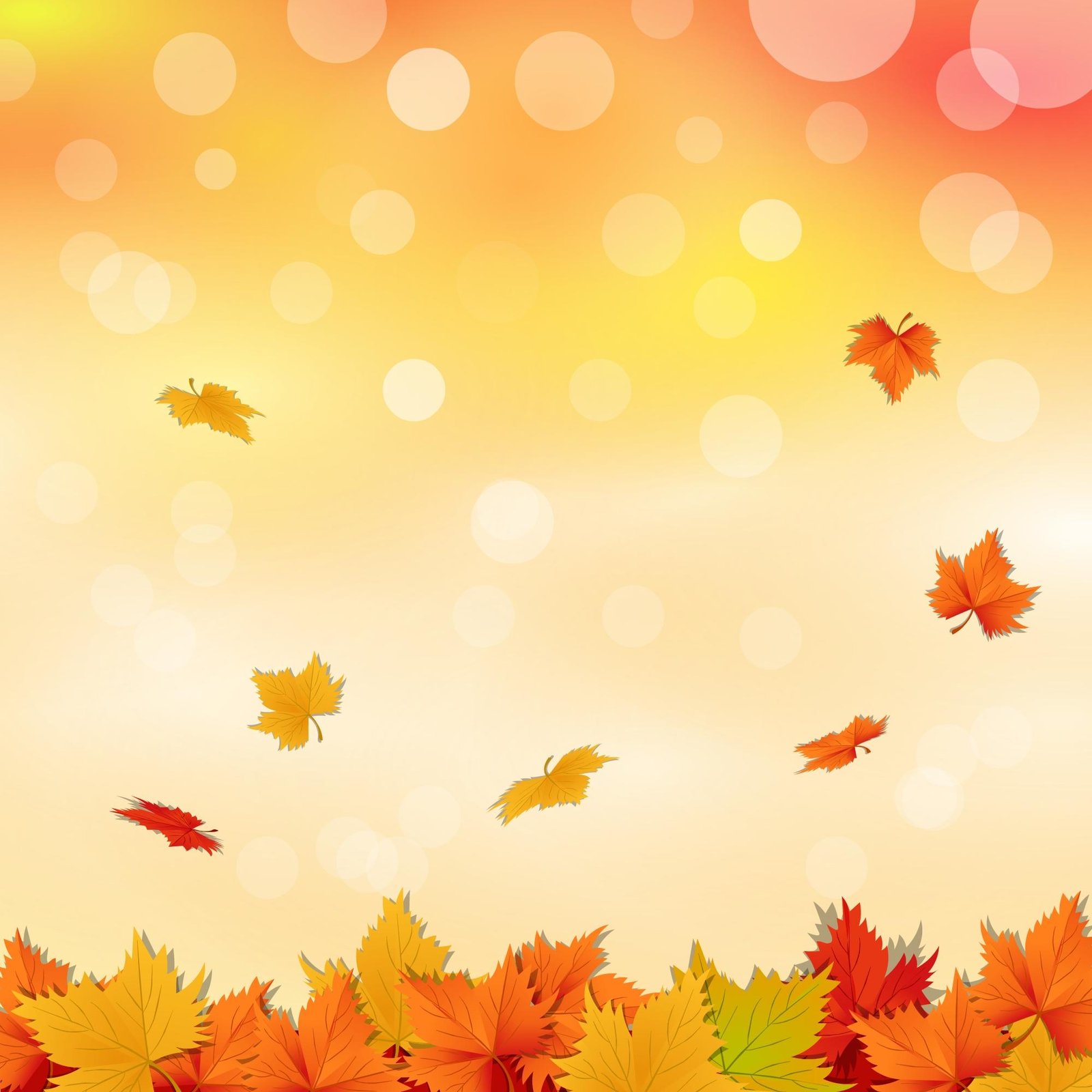 Newsletter - 202409 Image