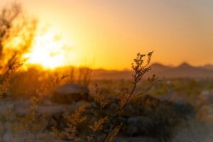 Blog - Phoenix sunset image